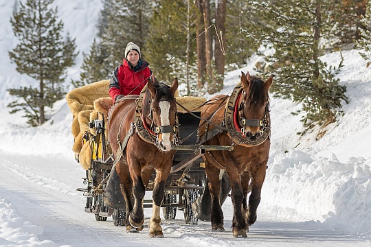 Kutschfahrt im Val Roseg